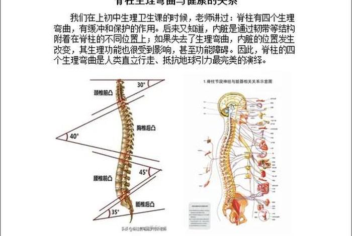 佛教解释颈椎和腰椎疾病 佛教解释颈椎和腰椎疾病是什么