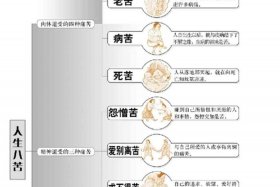 佛教四真谛是指，佛教四真谛是指哪四真