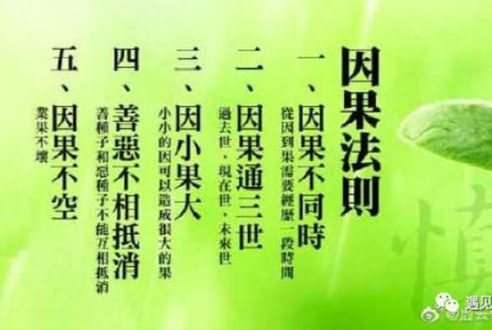 什么叫因果业力 - 因果与业力的区别