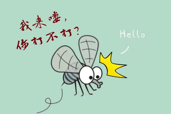 佛教蚊子咬打死蚊子算杀生吗（佛教蚊子能杀吗）