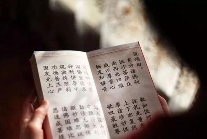 佛经中大种是什么意思、大种人是什么意思