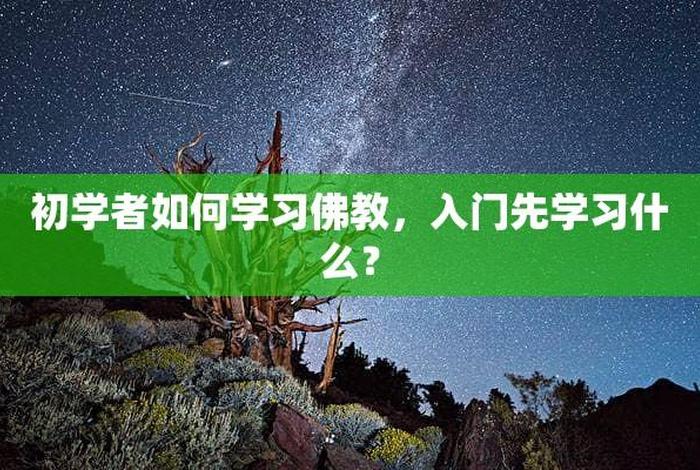 怎样学习佛法；怎样学好佛法