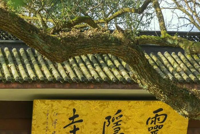 灵隐寺讲佛法 - 灵隐寺佛教