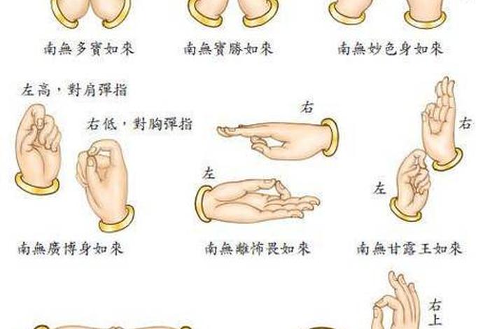 佛教的简单介绍；佛教的了解