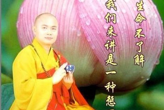 佛教界对慧律法师的评价（慧律法师的经典语录）