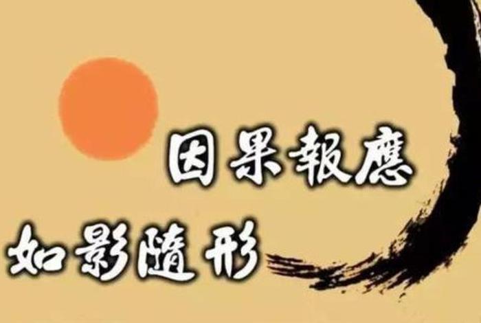 佛教故事因缘果报视频 因缘与果报