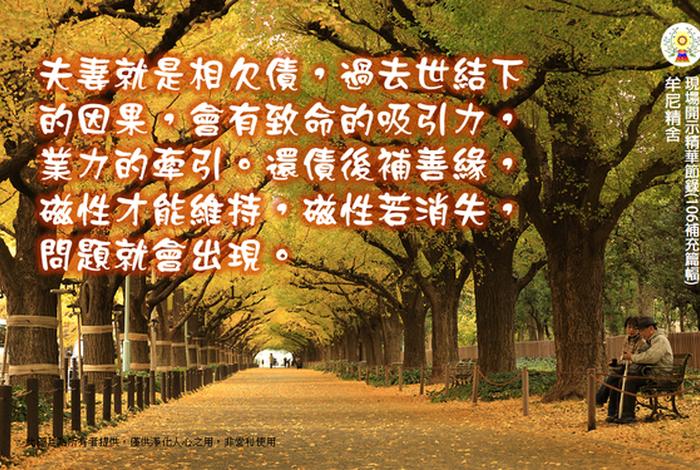 什么是因果业力（因果业力法则）