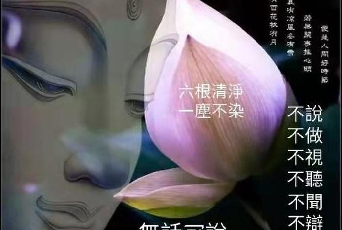 佛法中六根六尘的意思；佛学的六根和六尘是什么？