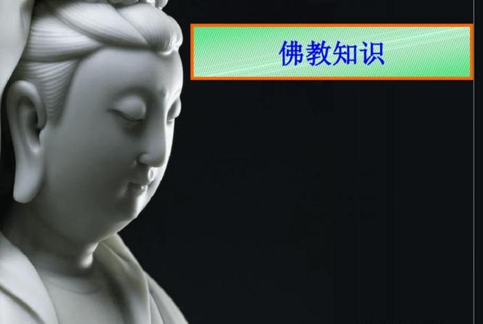 佛教知识类视频下载网站有哪些 佛教知识视频讲解
