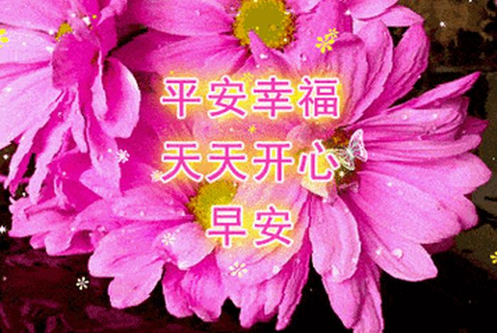 微信朋友圈可以发动图吗（微信朋友圈能发动态图片吗）