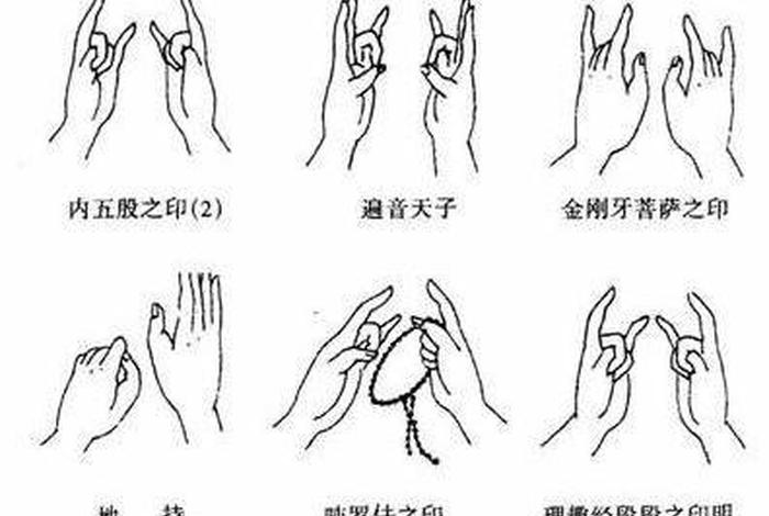 佛教手印大全视频教学版，佛教手印各种手势