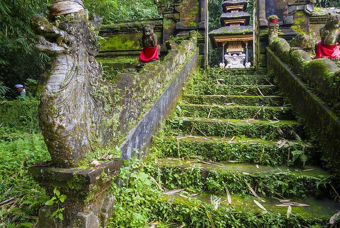 寺庙丛林是什么意思、从林寺庙