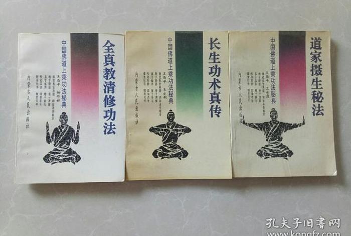 道士讲解道教佛教 道士讲解道教佛教的书