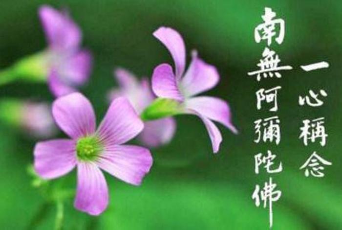 弘善佛教网；弘善佛教网学佛网