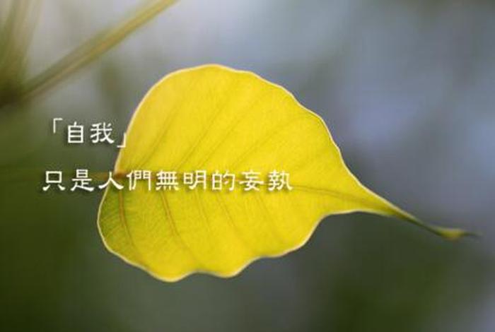 佛言法语、佛教法语怎么说