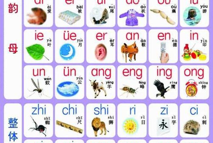 育道什么意思、育从是什么意思