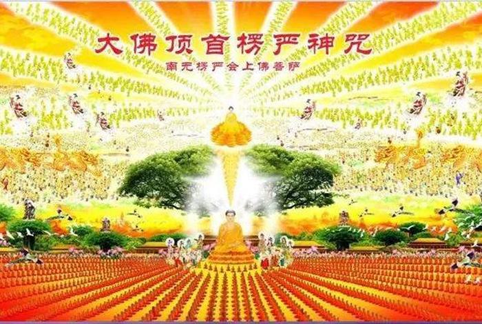 佛教细节知识讲解视频；佛教讲解视频播放