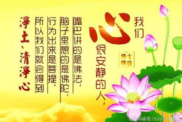 喜欢佛学的人 - 喜欢佛学的人性格