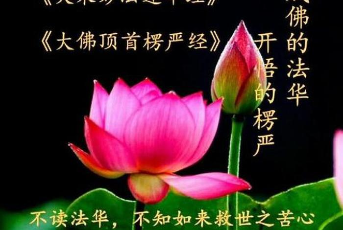 佛教觉悟是最好的智慧（什么是佛学的觉悟）