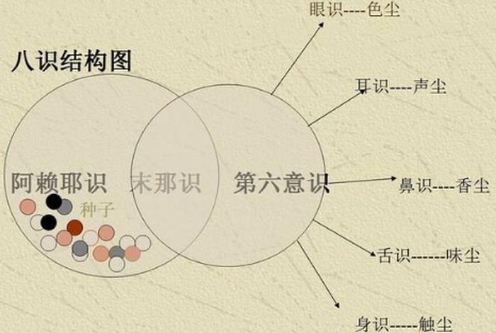 佛教八识指的是什么；佛教八识指的是什么东西