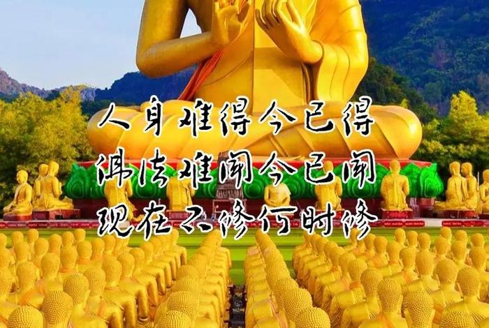 为什么佛法难遇 为什么说佛法难闻