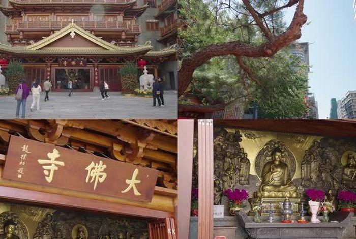 寺庙基本知识视频讲解（寺庙知识视频大全）