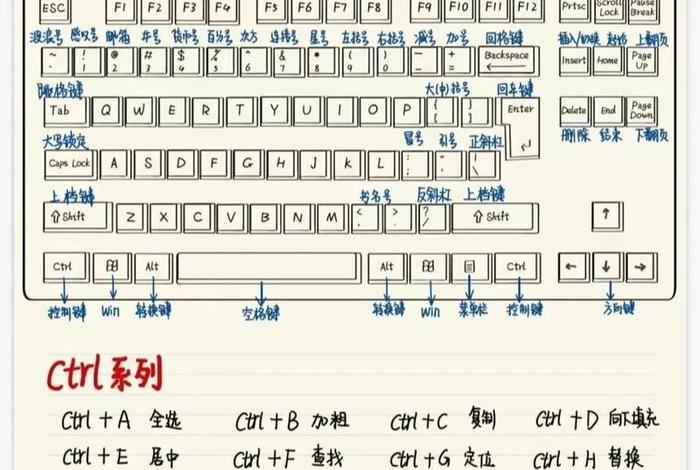 小白教学入门零基础（小白教学入门零基础能学会吗）
