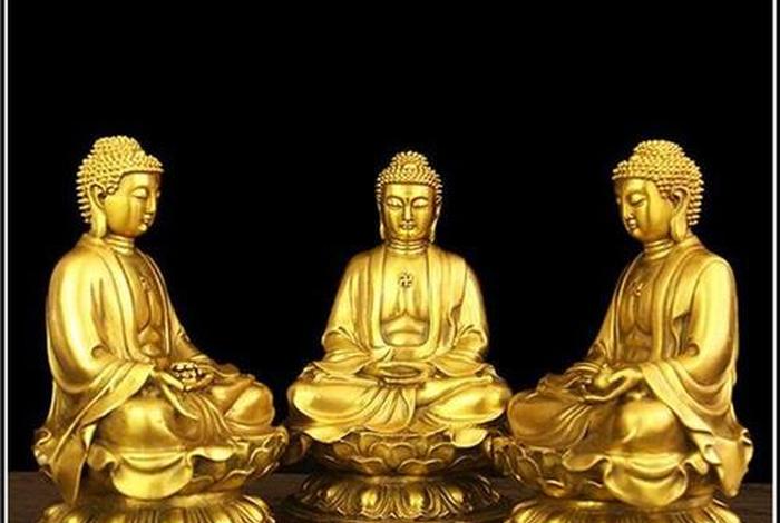 佛教 三有，佛教三有指什么意思