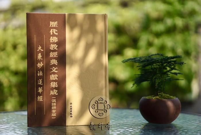 佛经 善 - 佛经善男子善女人标准