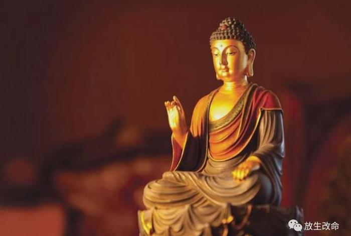 身体缺乏佛教知识怎么办；对佛教没有信心