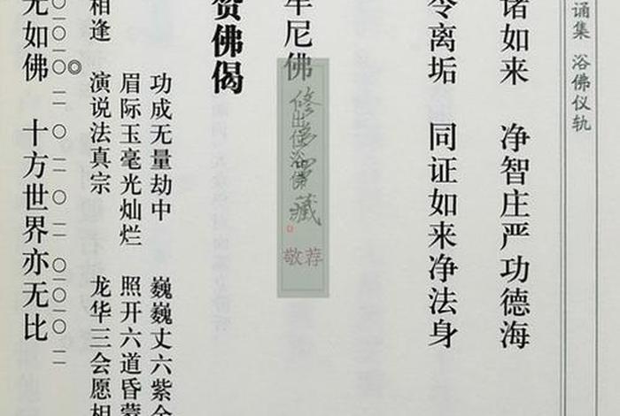 新佛教书籍入门知识点大全图片、新编佛教念诵集书籍