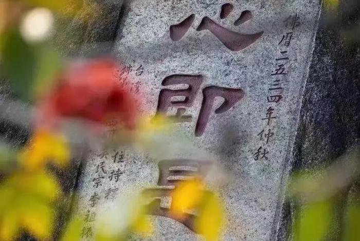 无我佛家意思、佛学中无我是什么意思