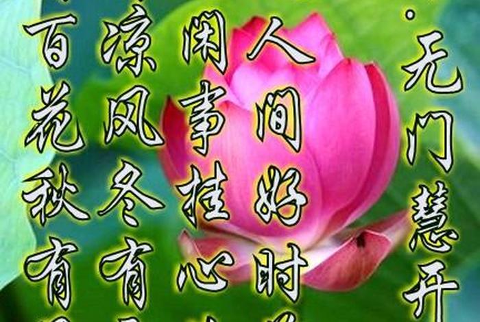 蕴含佛教知识的古诗句（关于佛教的词汇）