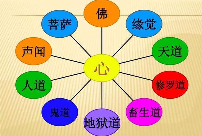 佛教文化知识讲解，佛教文化知识讲解视频