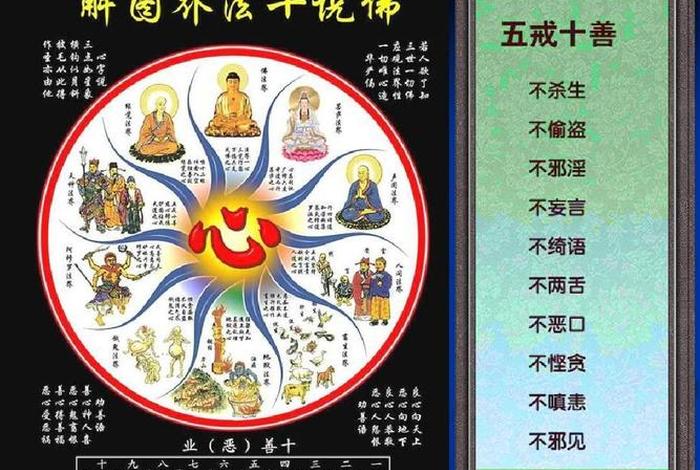 佛学基本常识大全图片，佛学基础常识