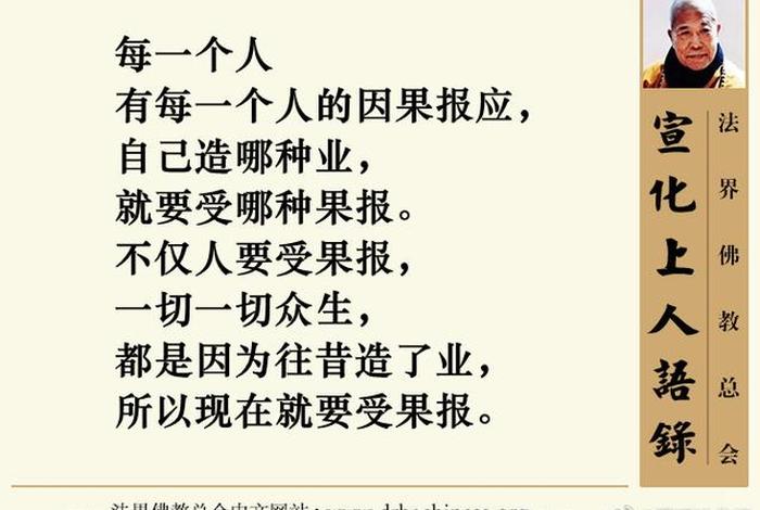 佛学讲因果报应（佛教讲因果报应禅语）