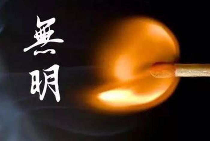 不懂佛教的规矩 不懂佛法