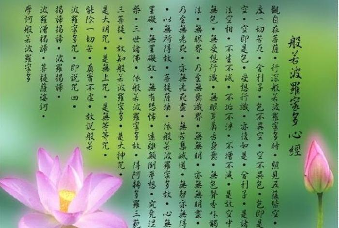 怎么用佛教知识净化心灵呢 学佛净化心灵