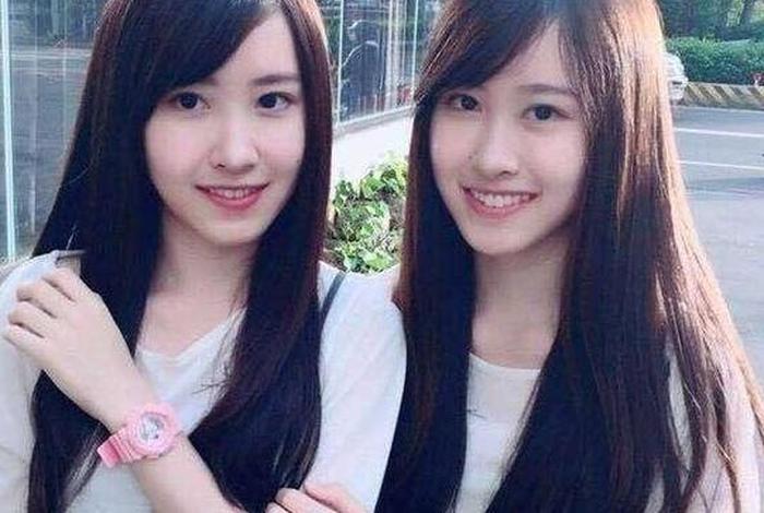 双胞胎代表什么意思（双胞胎是什么意思）