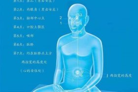 初学者怎么练佛法；初学佛法的人怎样修学