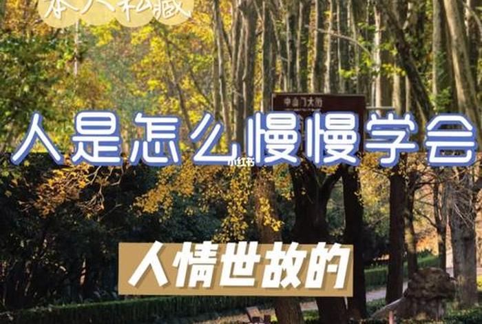 相亲对象非常懂人情世故，相亲对象老实人