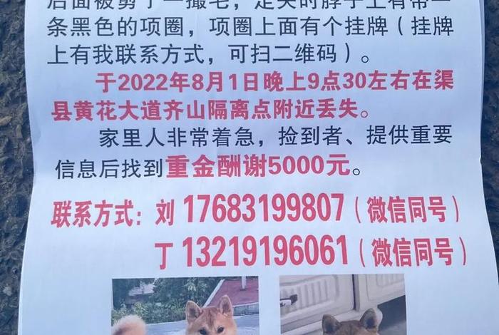名字兜兜什么意思、兜兜取名字