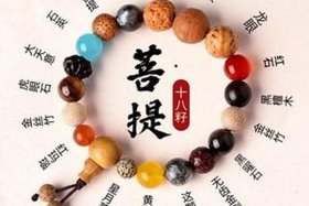 佛教珠宝知识大全集下载手机版；珠宝佛珠