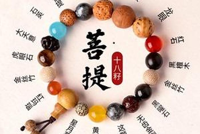 佛教珠宝知识大全集下载手机版；珠宝佛珠