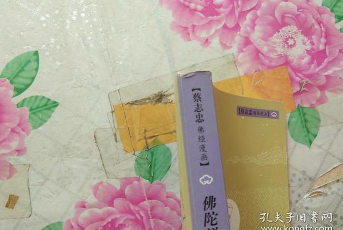 蔡志忠讲佛法视频 蔡志忠佛陀说
