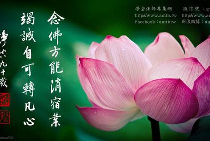 佛教中的断见是什么意思；佛教里的断见是什么意思