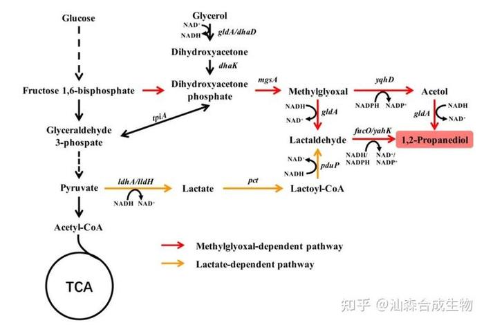 佛教解释微生物也是生命；佛教 微生物
