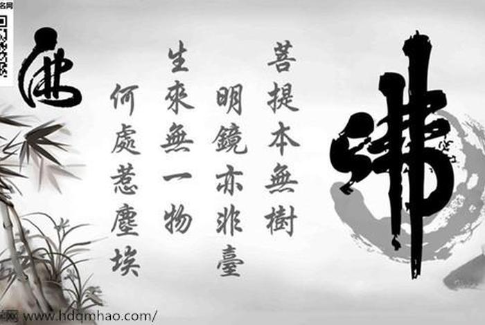 佛教人生网 首页（佛教人生网 首页在线观看）