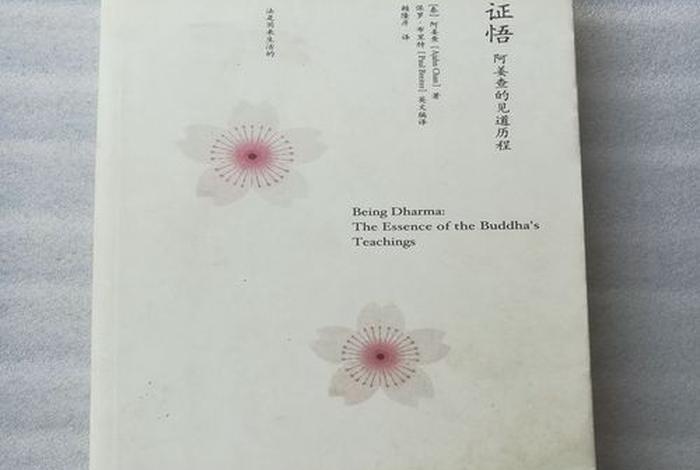 南传佛教大师，南传佛教大师阿姜查的证道开示