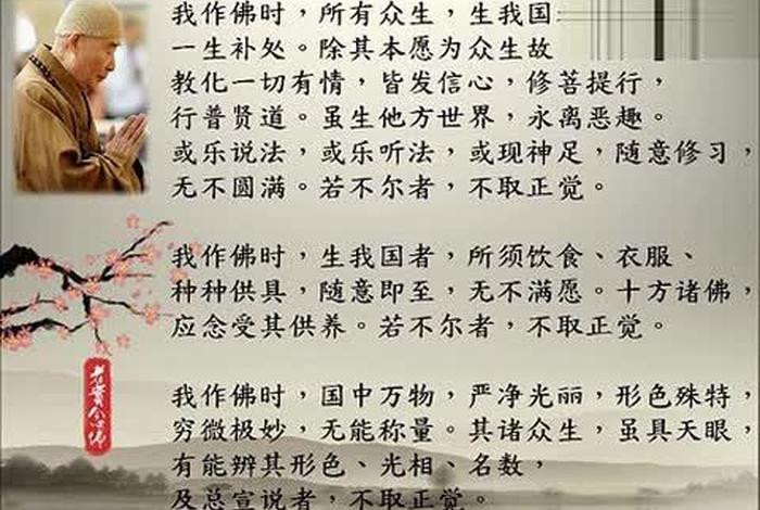 佛教文化知识讲解无量寿经 - 佛学讲无量寿经视频